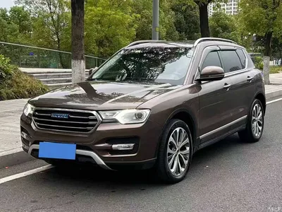 2016 Haval H7 Blue Label H7 2.0T Automatic Luxury, фото 1, лот 10506866