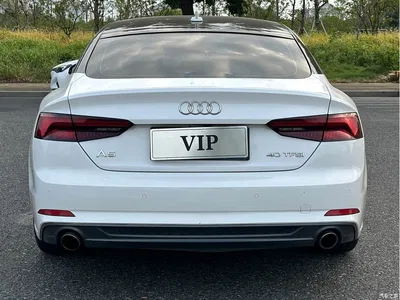 2019 Audi A5 (Import) Sportback 40 TFSI Fashion, фото 4, лот 10338438