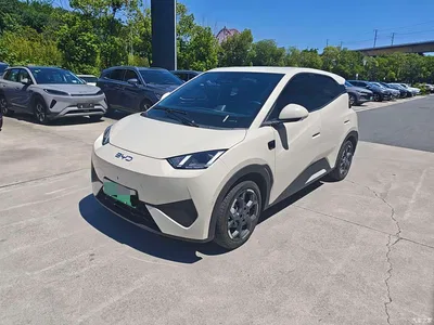 2025 BYD Seagull Smart Drive Edition 305km Freedom Version, фото 1, лот 10257004