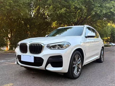 2020 BMW X3 xDrive28i M Sport Package, фото 1, лот 10403226