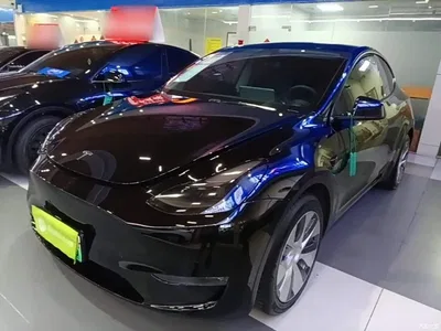 2021 Tesla Model Y Model Long Range AWD, фото 2, лот 10370130