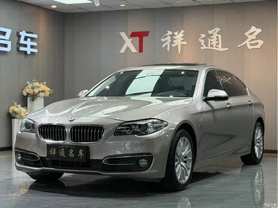 2013 BMW 5 Series 525Li Luxury, фото 3, лот 10885618