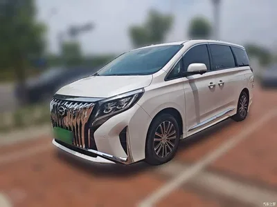 2023 GAC Trumpchi Trumpchi M8 Leading Series 390T Prestige Edition, фото 1, лот 10424064