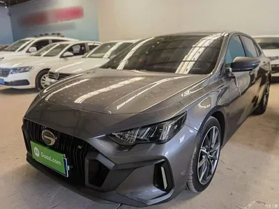 2024 GAC Trumpchi Trumpchi Emkoo Model 270T DCT Shadow Leopard S Edition, фото 1, лот 11302163