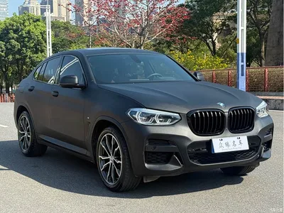 2021 BMW X4 xDrive 25i M Sport Glorious Night Package, фото 3, лот 10237510