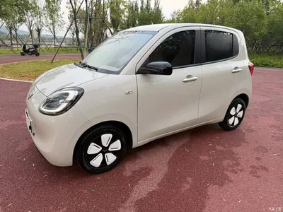 2025 Wuling Motors Wuling Zhiguang NEV Model Comfort, фото 1, лот 10833617