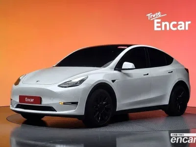2021 Tesla Model Y Standard Range RWD, фото 1, лот 10224018