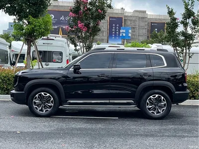 2022 Haval Big Dog 2.0T DCT AWD Chinese Pastoral Dog Edition, фото 3, лот 10361996