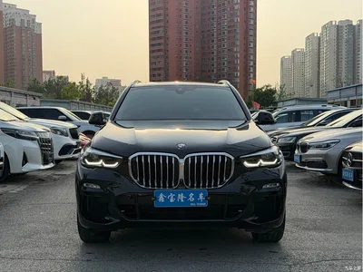 2020 BMW X5 (Import) xDrive30i M Sport Package, фото 2, лот 10463783