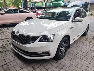2019 Škoda Octavia TSI230 DSG Zhixing Luxury Edition China VI, фото 1, лот 10348263
