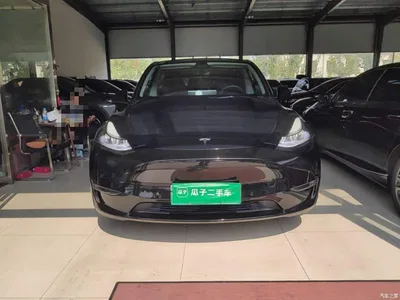 2021 Tesla Model Y Standard Range Rear-Wheel Drive, фото 3, лот 10812308