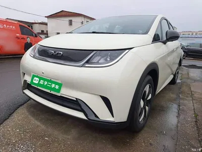 2025 BYD Dolphin 420km Freedom Edition, фото 2, лот 11578508