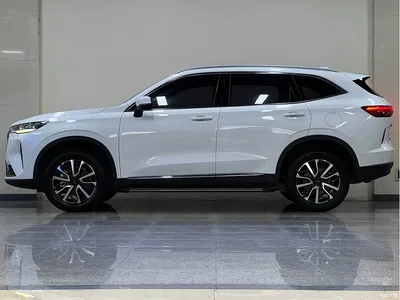 2021 Haval H6 3rd Generation 1.5T Auto 2WD Max, фото 4, лот 10898580