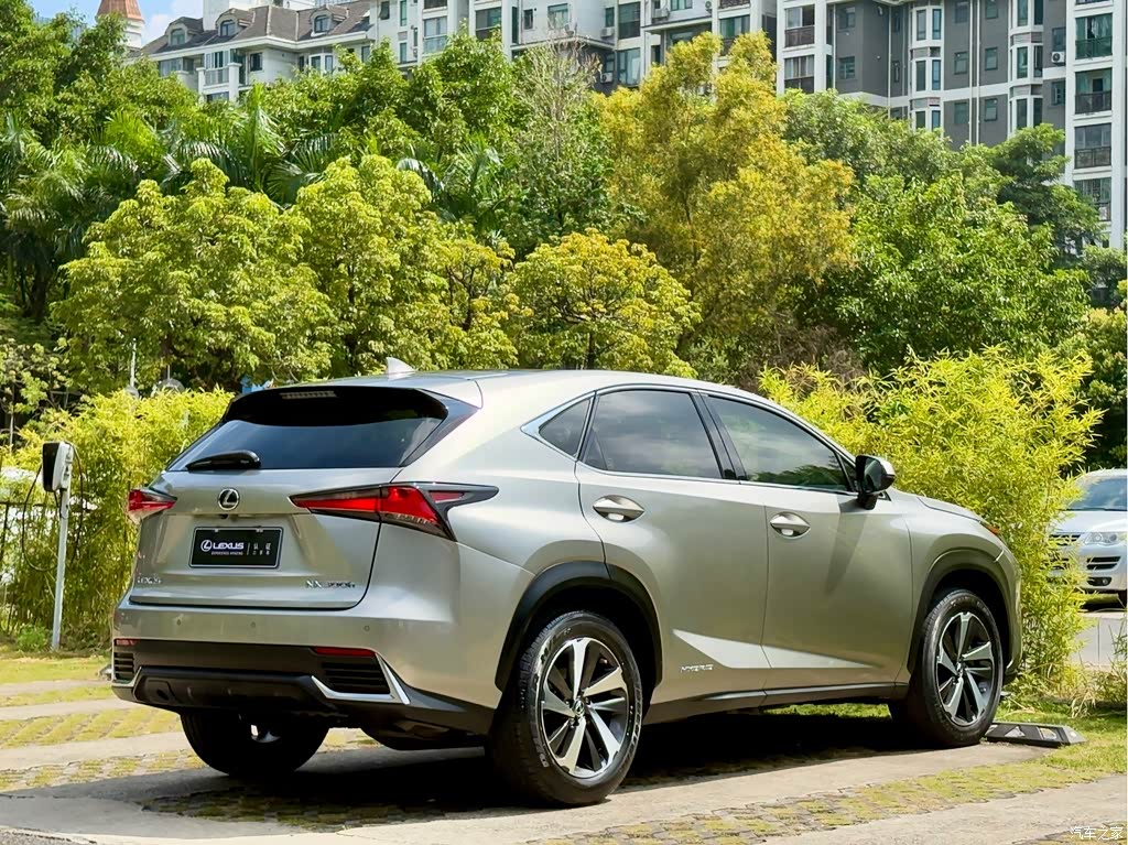 2018 Lexus NX Model 300h AWD Fengzhi Edition China V, фото 4, лот 11203632