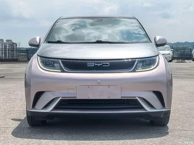 2021 BYD Dolphin Model 405km Fashion Edition, фото 2, лот 11136219
