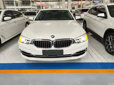 2019 BMW 5 Series Facelift 530Li Leading Luxury Package, фото 3, лот 10444643