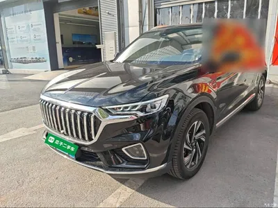 2022 Hongqi HS5 Facelift 2.0T Smart Flag Enjoyment Edition, фото 1, лот 11214473