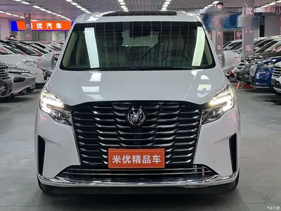 2023 Buick GL8 ES Landmaster Exclusive, фото 2, лот 10251609