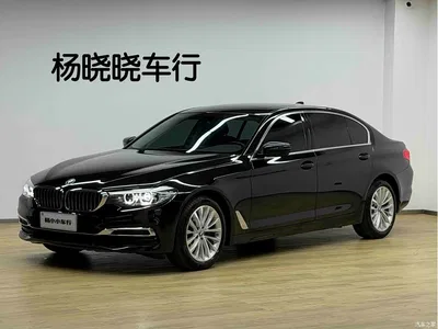 2020 BMW 5 Series 525Li Luxury Package, фото 1, лот 11174920