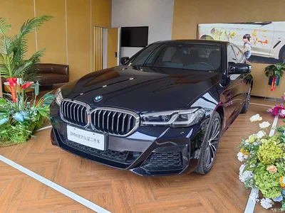 2023 BMW 5 Series Facelift 530Li Leading M Sport Package, фото 1, лот 10679211