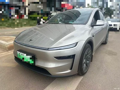 2025 Tesla Model Y L, фото 1, лот 10393642