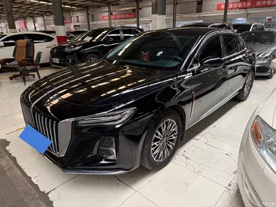 2024 Hongqi H5 1.5T DCT Smart Connect Flag Rhythm Edition, фото 1, лот 10479340