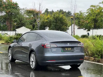 2021 Tesla Model 3 Standard Range Rear-Wheel Drive Upgrade, фото 4, лот 10366358