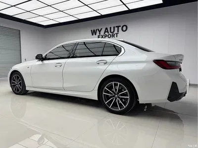 2023 BMW 3 Series 320Li M Sport Package, фото 3, лот 10575658