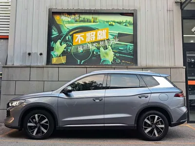 2023 BYD Song Pro New Energy Champion Edition DM-i 110KM Excellence, фото 2, лот 10274663