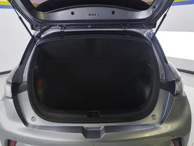 2021 BYD Dolphin Model 405km Fashion Edition, фото 4, лот 10689495