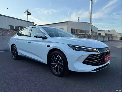 2025 BYD Qin L DM-i Smart Drive Edition 120KM Surpassing, фото 3, лот 10343617