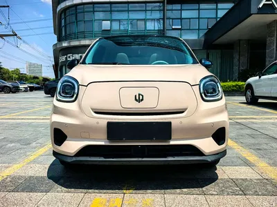 2023 Leapmotor T03 403 Smart Edition, фото 3, лот 10445534