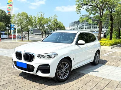 2021 BMW X3 xDrive25i M Sport Package, фото 1, лот 11568571