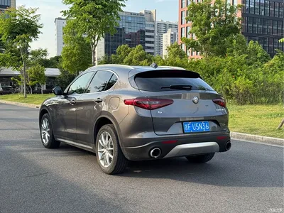 2017 Alfa Romeo Stelvio 2.0T 200HP Luxury Edition, фото 4, лот 10239841