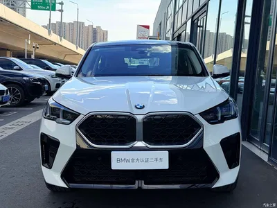 2024 BMW X2 (Import) xDrive25i M Sport Shadowline Package, фото 2, лот 10285088