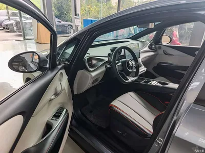 2021 BYD Dolphin Model 405km Fashion Edition, фото 4, лот 10258086