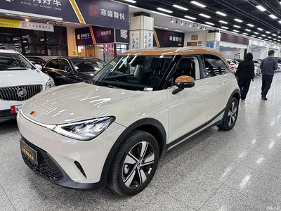 2026 smart Elf #1 Model Smart Long Range Edition, фото 2, лот 10343255
