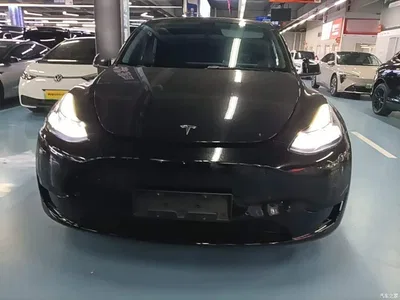 2023 Tesla Model Y Rear-Wheel Drive Edition, фото 3, лот 10369605