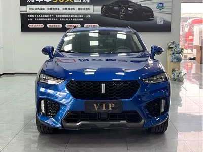 2017 WEY VV7 2.0T Flagship, фото 2, лот 11187242
