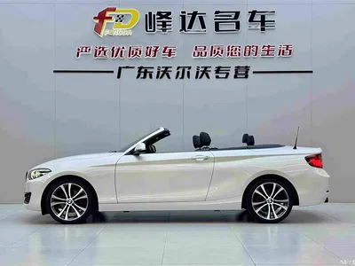 2019 BMW 2 Series (Import) 225i Convertible Coupe Sport Design Package, фото 3, лот 10409068