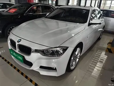2017 BMW 3 Series 320Li M Sport, фото 2, лот 11219980