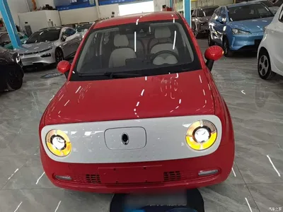 2019 Ora Black Cat 351km Goddess Edition, фото 3, лот 10330691