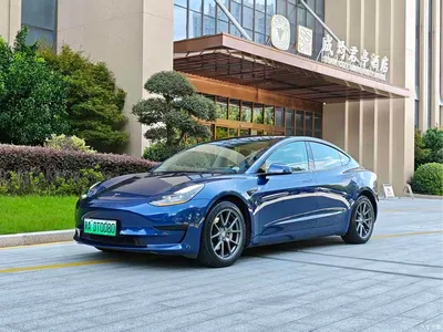 2022 Tesla Model 3 Model Rear-Wheel Drive Version, фото 1, лот 10351049